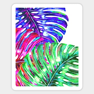 Colorful Monstera Magnet